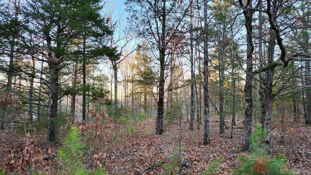Punkin Flat Road Property Photo 37