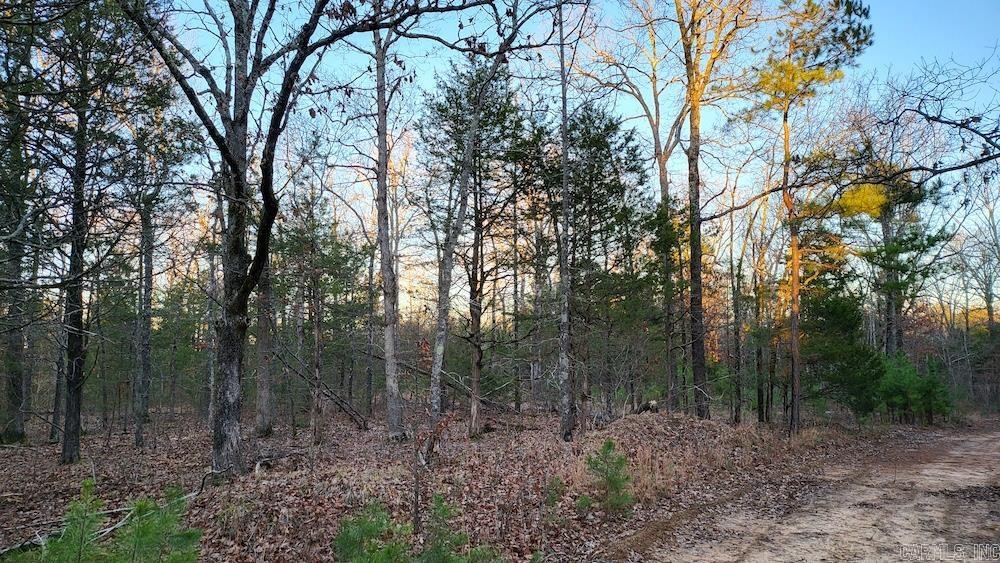 Punkin Flat Road Property Photo 38