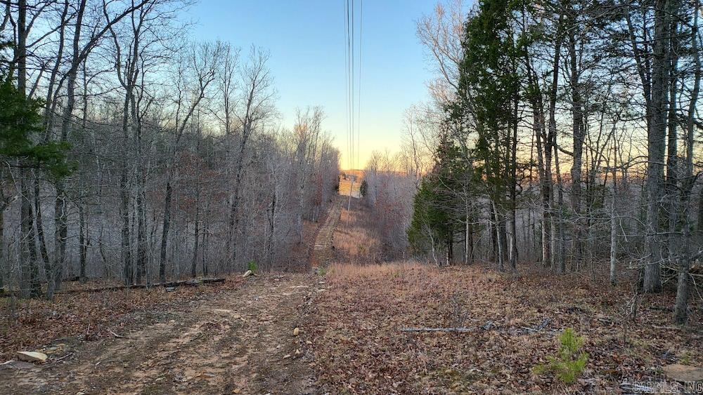 Punkin Flat Road Property Photo 39