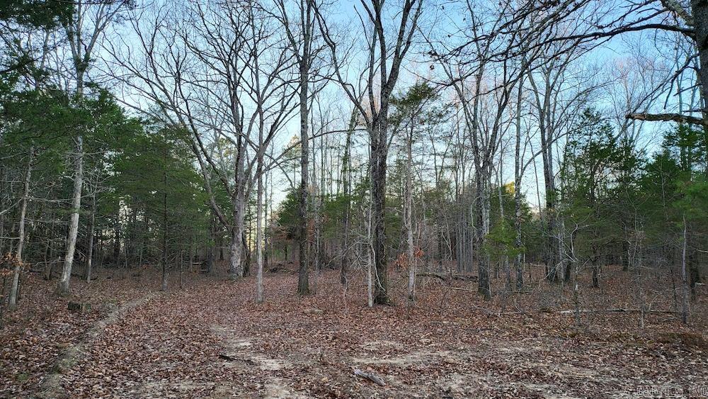 Punkin Flat Road Property Photo 40