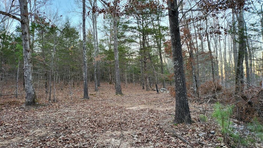 Punkin Flat Road Property Photo 41