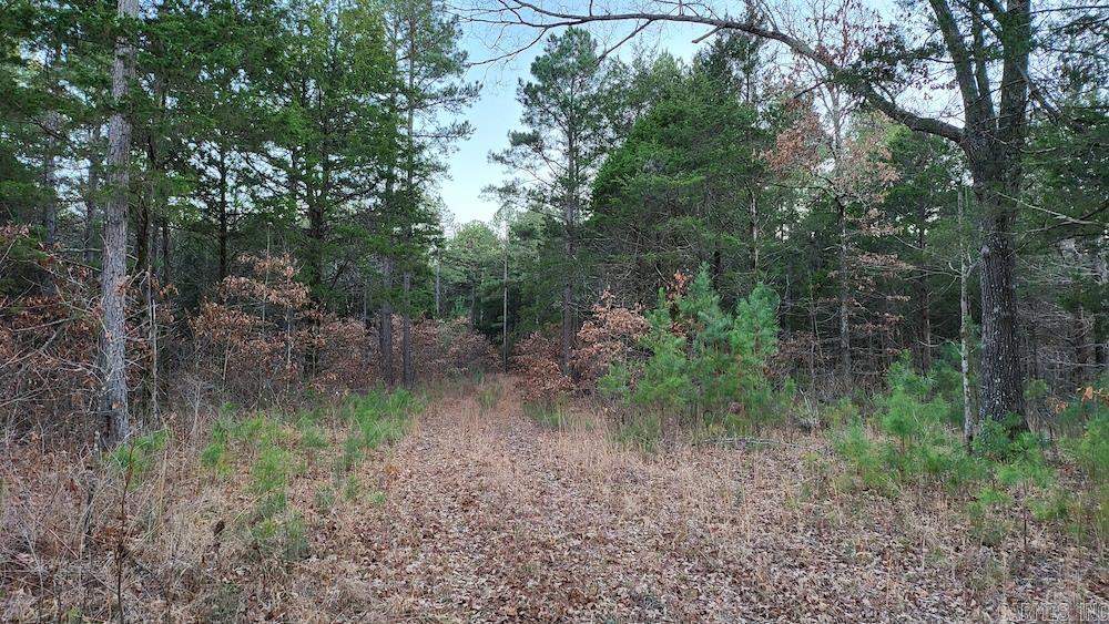 Punkin Flat Road Property Photo 42