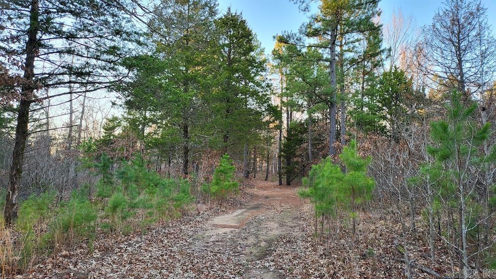 Punkin Flat Road Property Photo 43