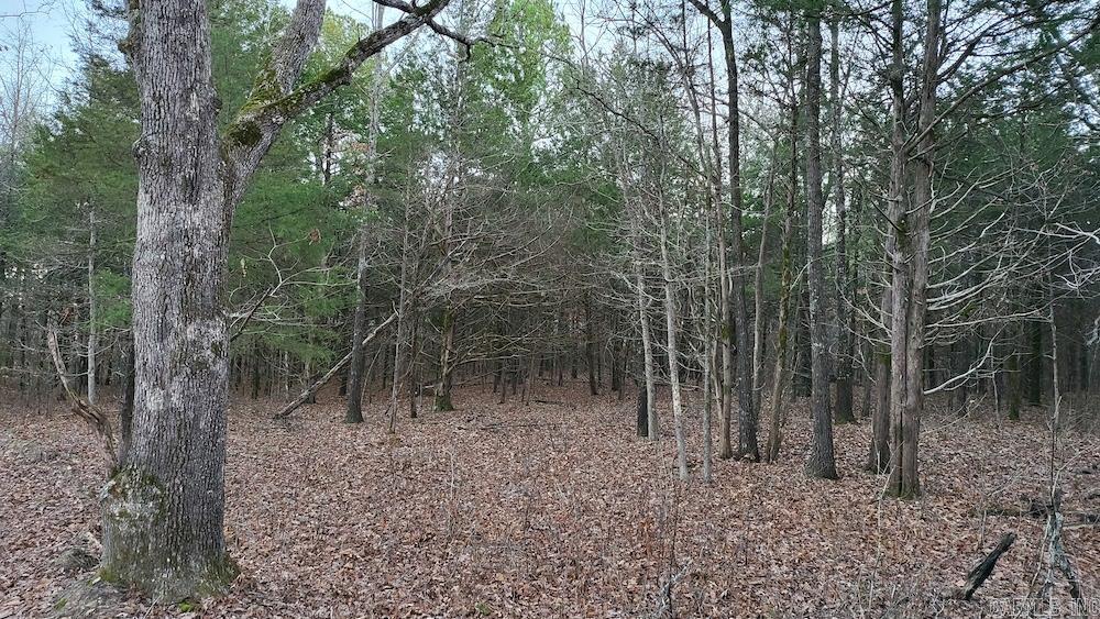 Punkin Flat Road Property Photo 44