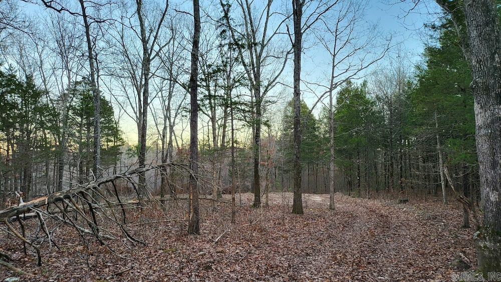 Punkin Flat Road Property Photo 45