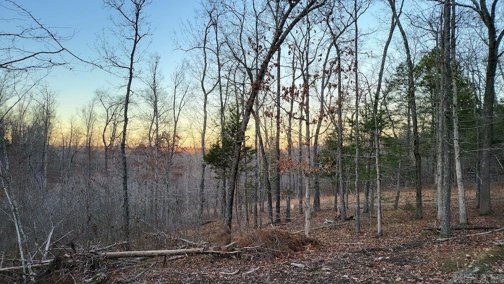 Punkin Flat Road Property Photo 46