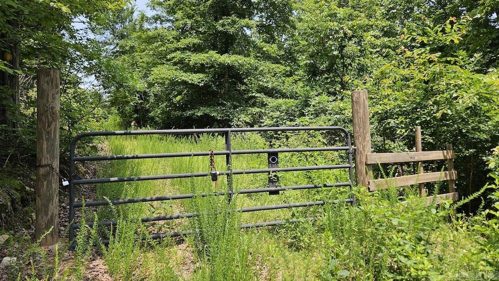 Punkin Flat Road Property Photo 48