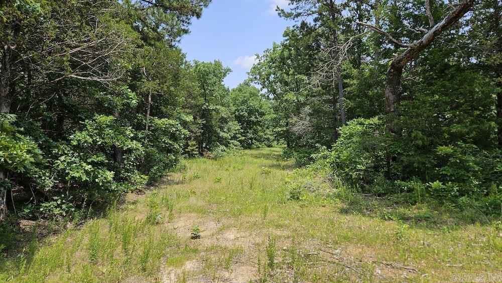 Punkin Flat Road Property Photo 49