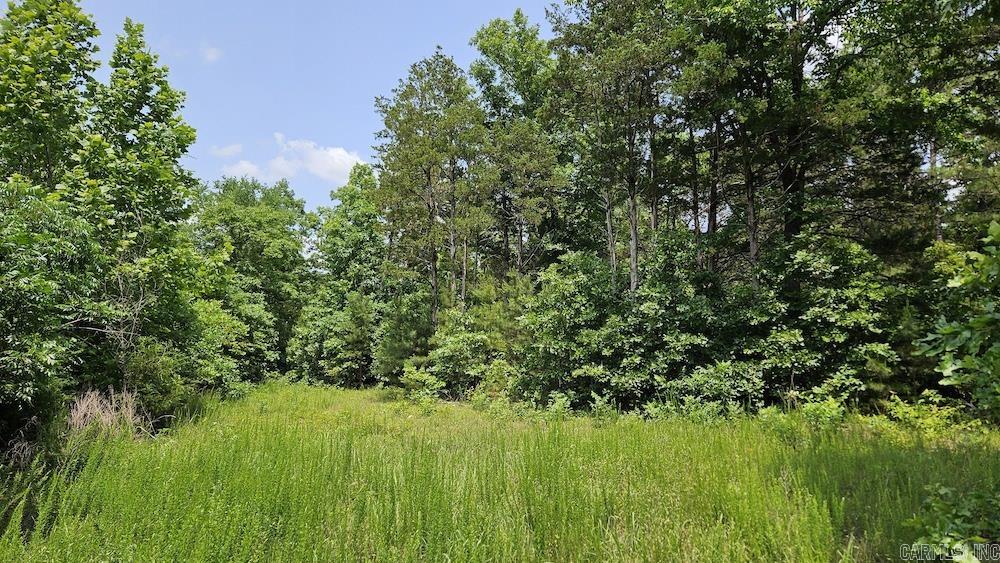 Punkin Flat Road Property Photo 50