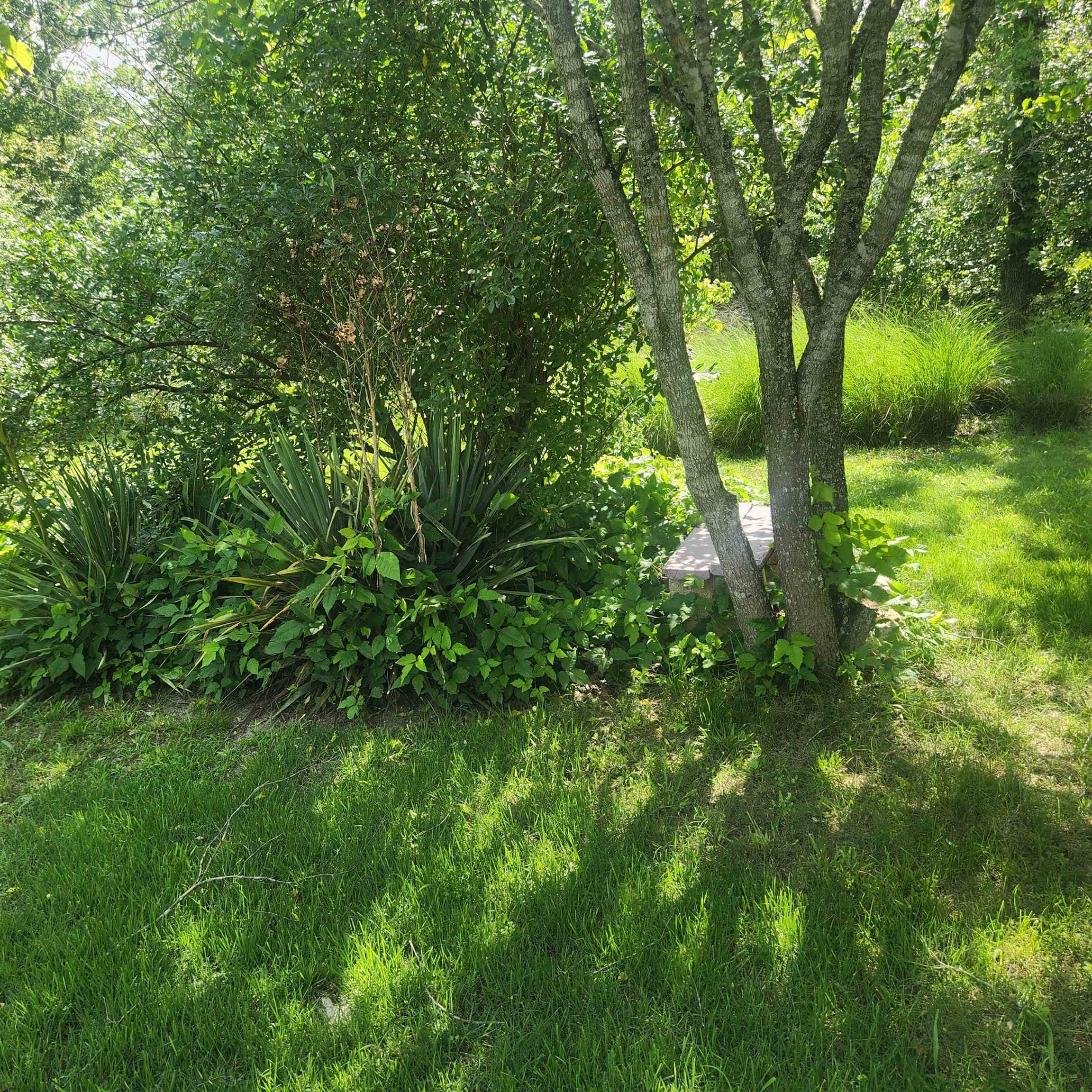63 Tablerock Road Property Photo 26