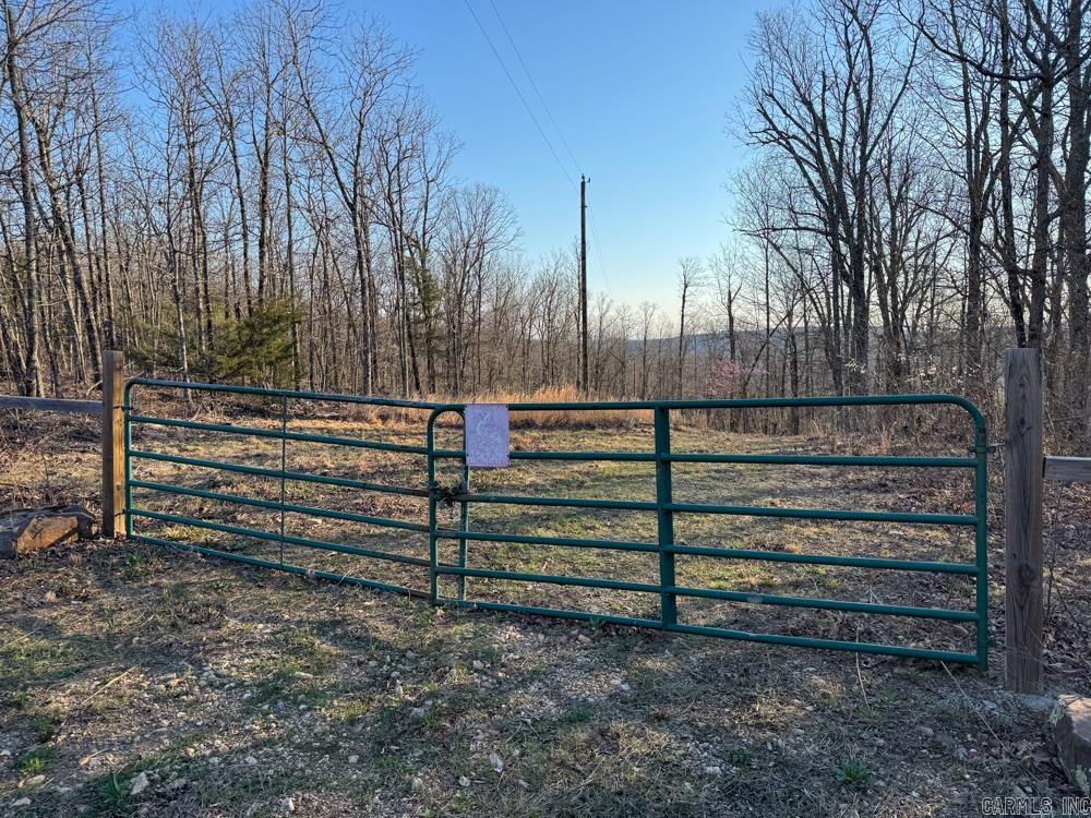 1169 Liberty Road Property Photo 12