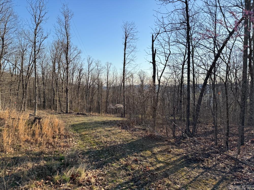 1169 Liberty Road Property Photo 14