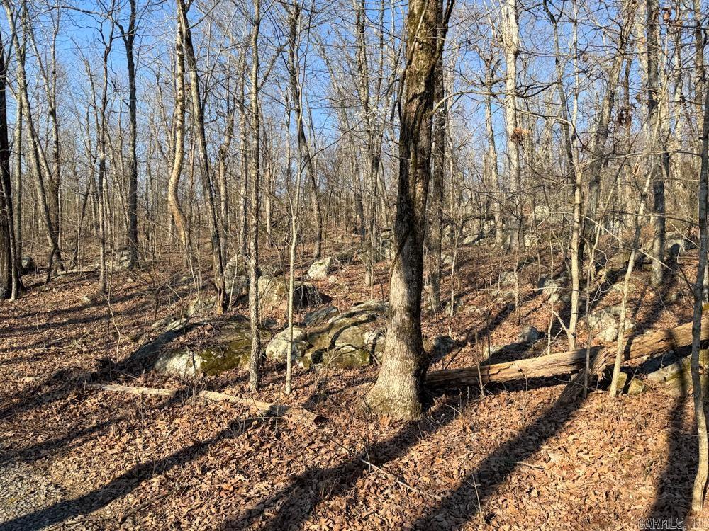 1169 Liberty Road Property Photo 19