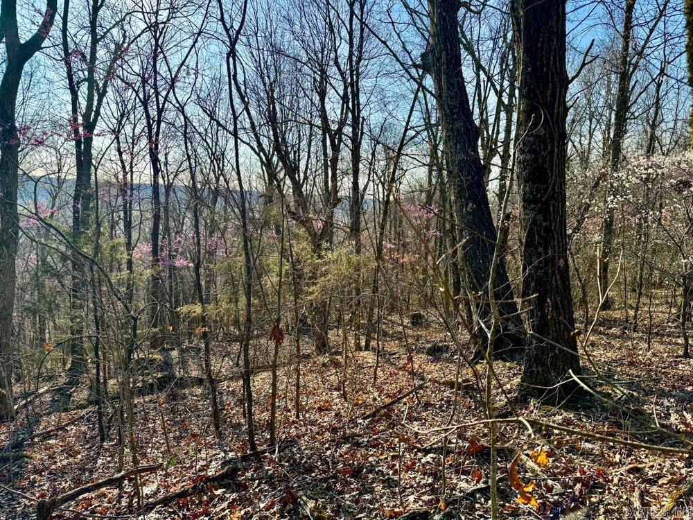 1169 Liberty Road Property Photo 21