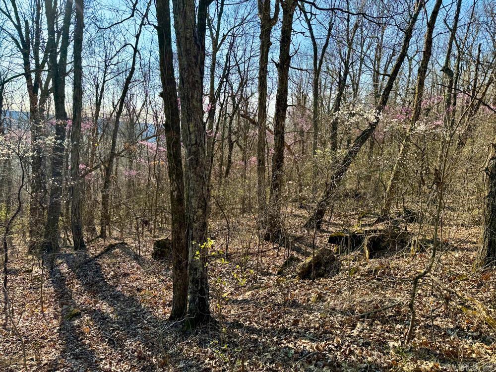 1169 Liberty Road Property Photo 23