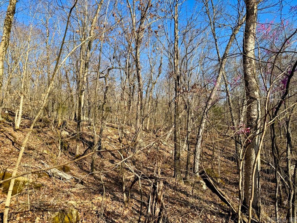 1169 Liberty Road Property Photo 27