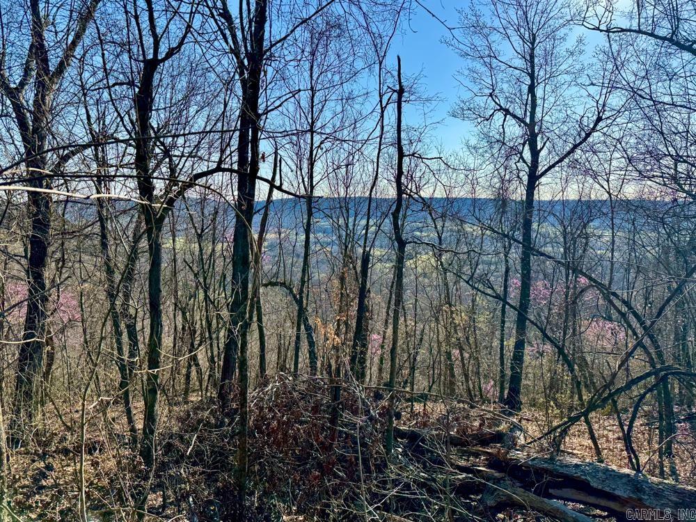 1169 Liberty Road Property Photo 32