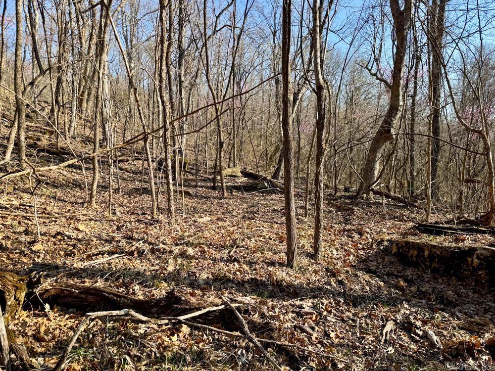 1169 Liberty Road Property Photo 39