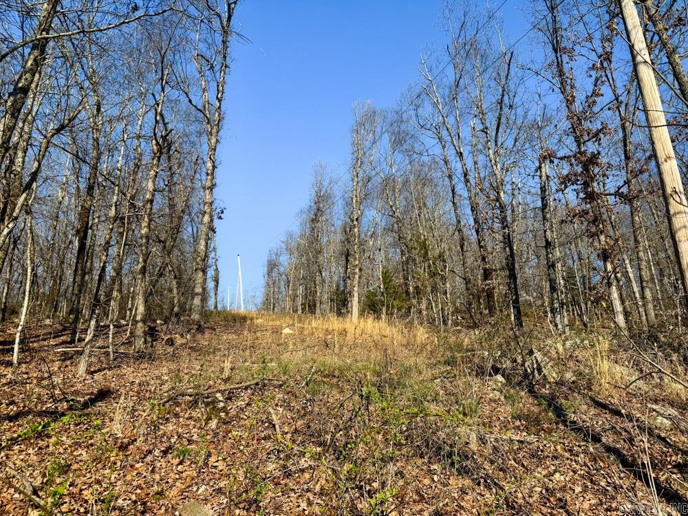 1169 Liberty Road Property Photo 44