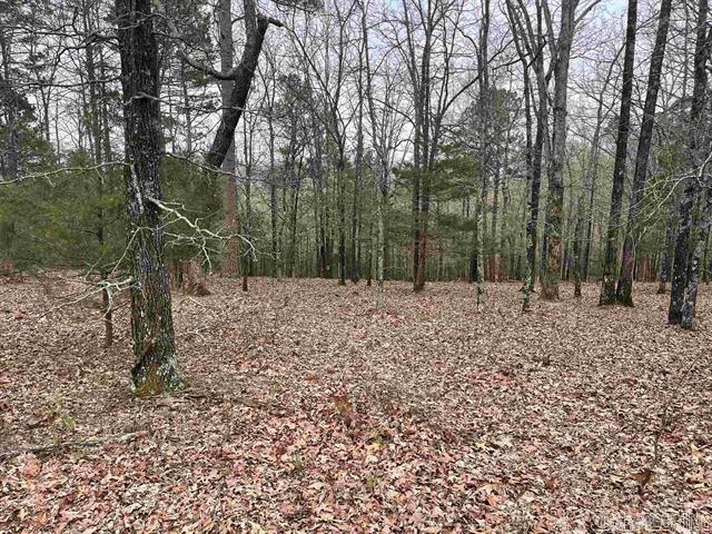 Lot 4 Diamond Bluff Road Property Photo 1