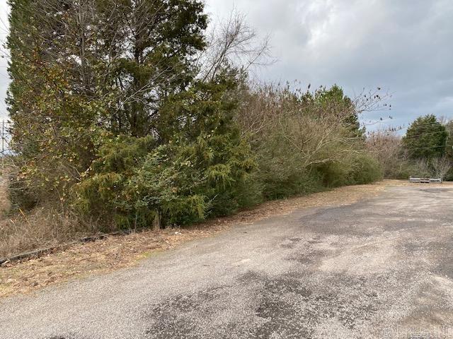 10-4n-17w Fourche Avenue Property Photo 4