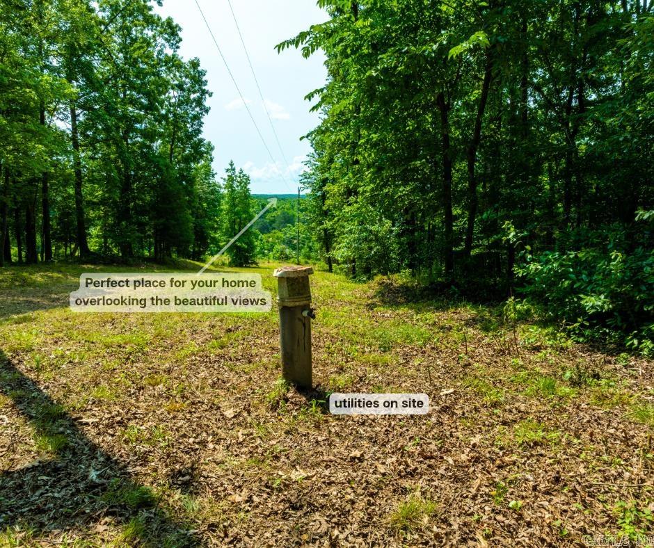 000 Sweet Gum Road Property Photo 3