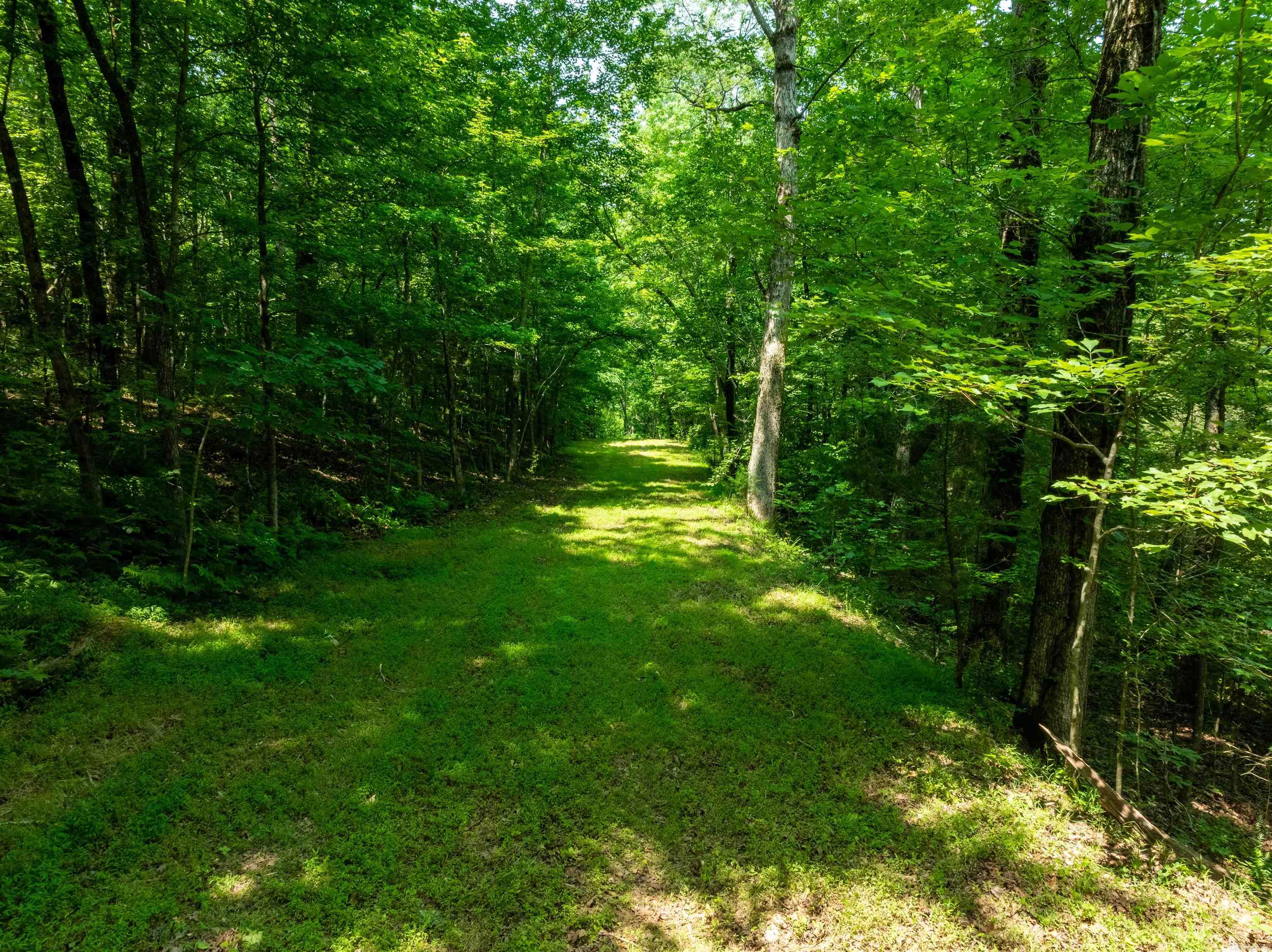 000 Sweet Gum Road Property Photo 4