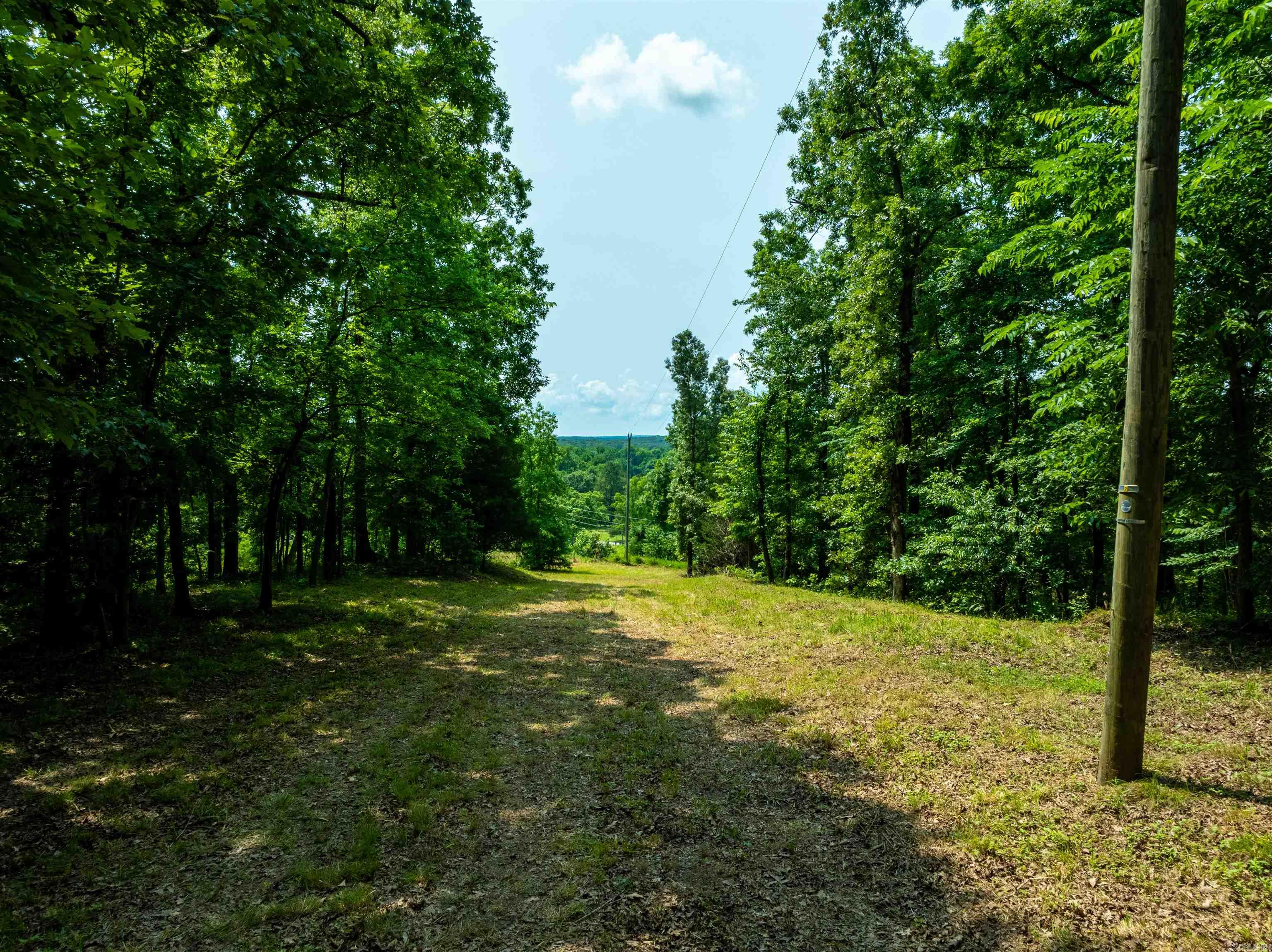 000 Sweet Gum Road Property Photo 5