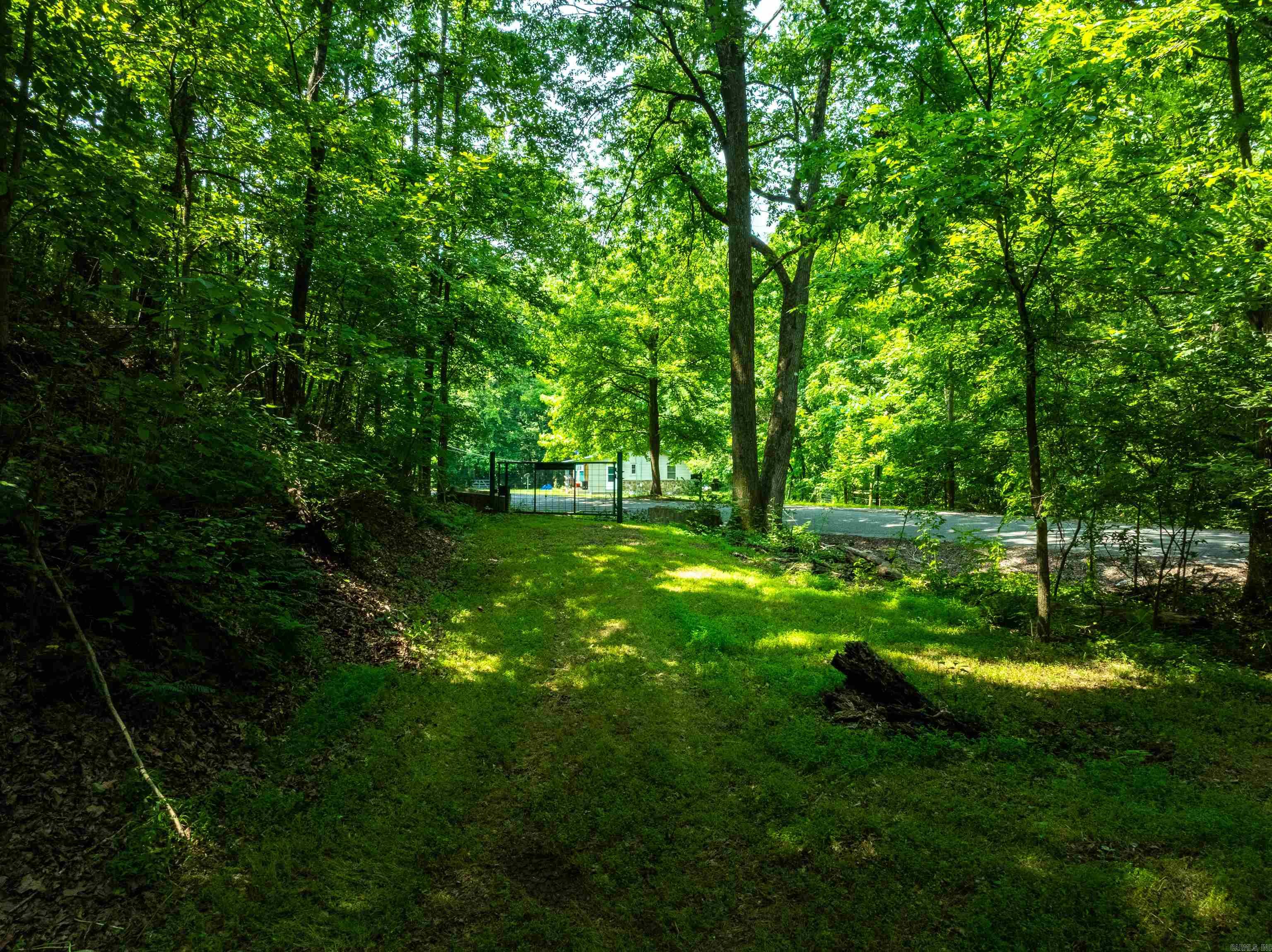 000 Sweet Gum Road Property Photo 6