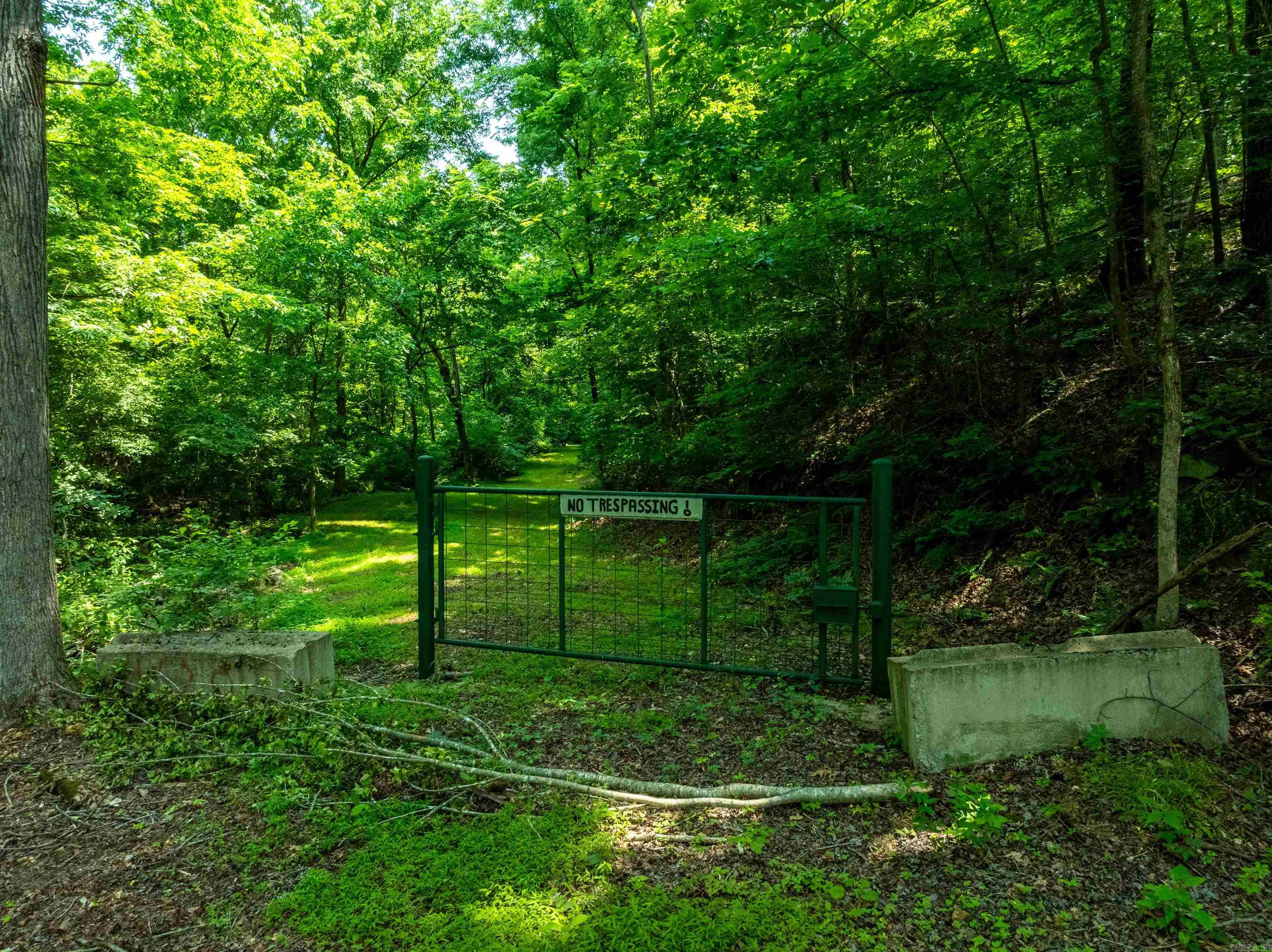 000 Sweet Gum Road Property Photo 7