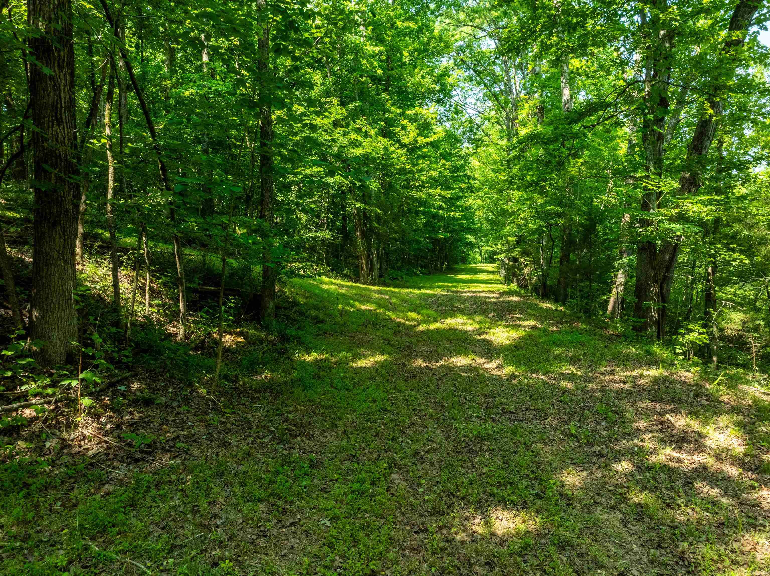 000 Sweet Gum Road Property Photo 8