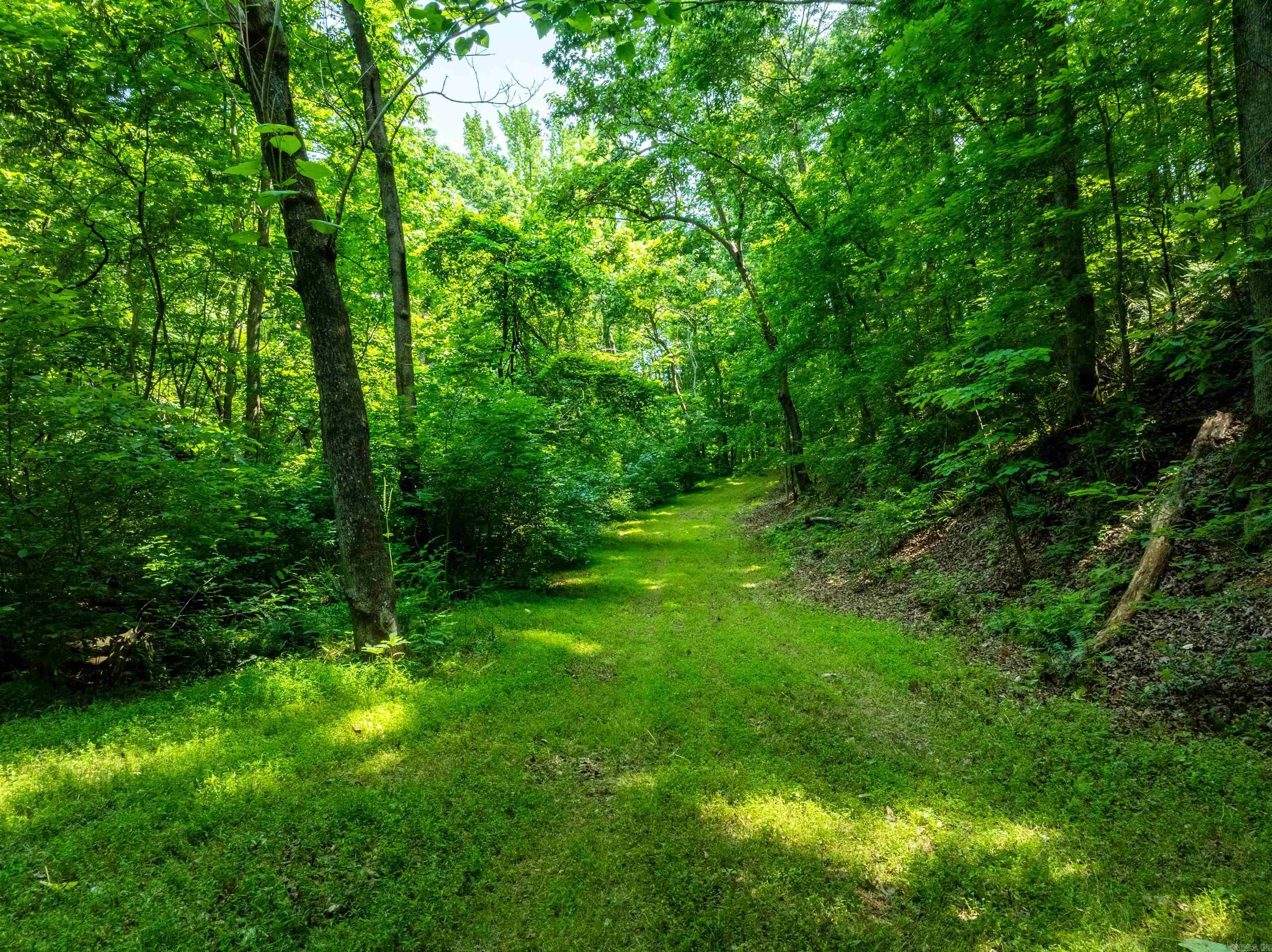 000 Sweet Gum Road Property Photo 9