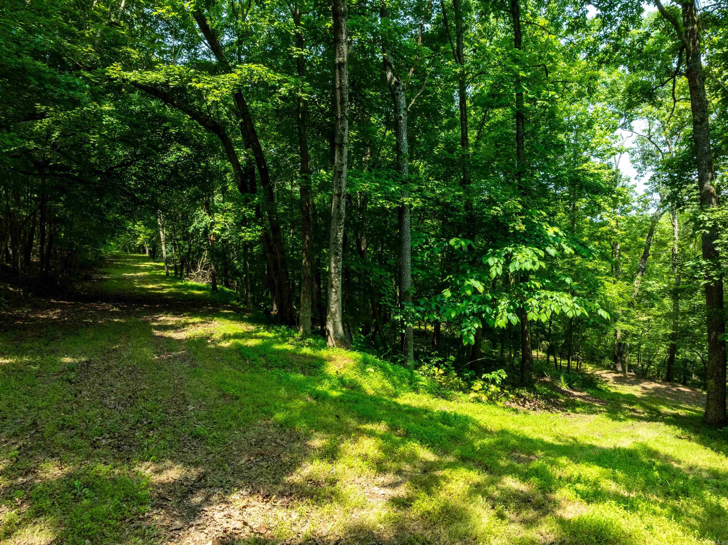 000 Sweet Gum Road Property Photo 10