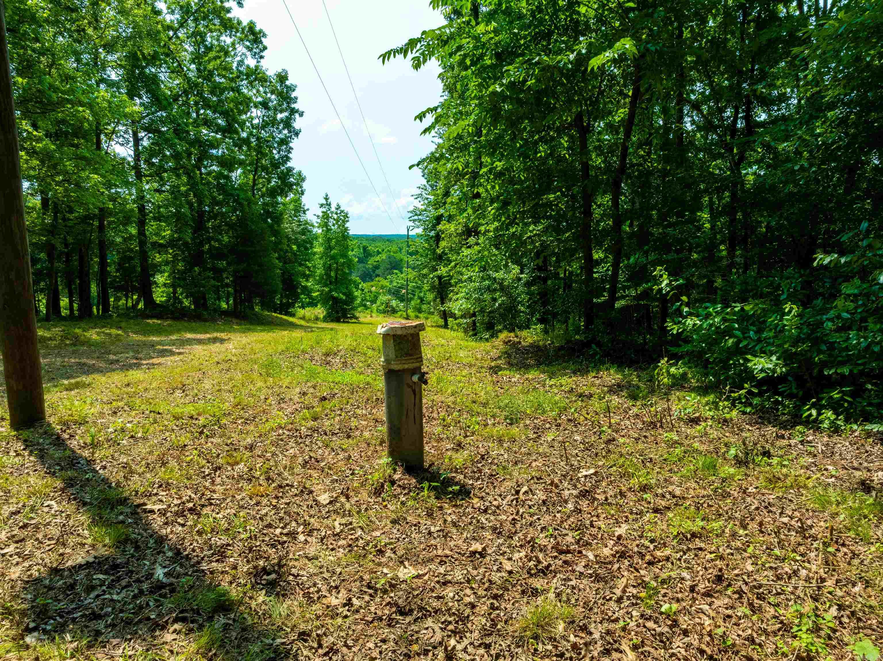 000 Sweet Gum Road Property Photo 11