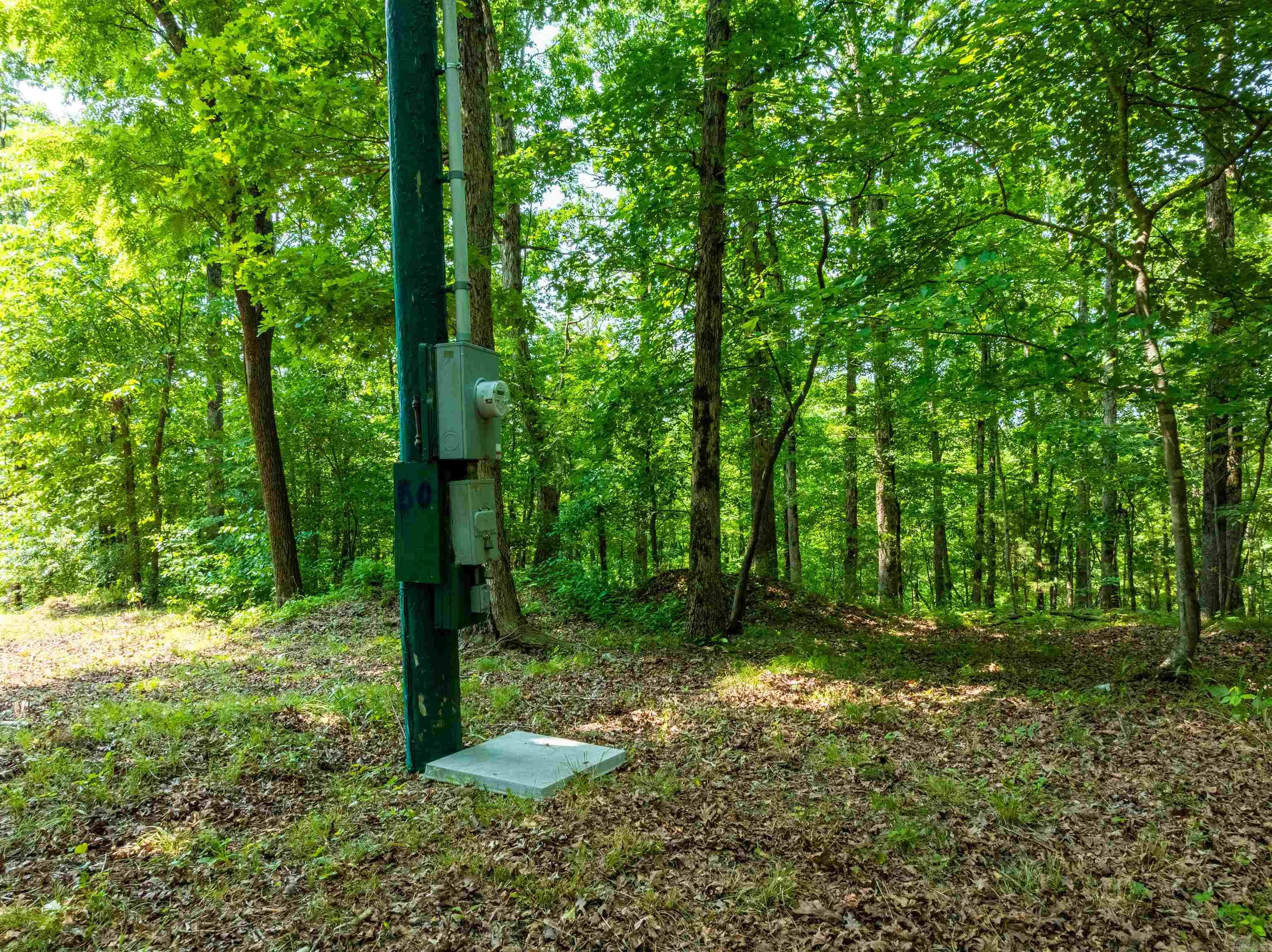 000 Sweet Gum Road Property Photo 12