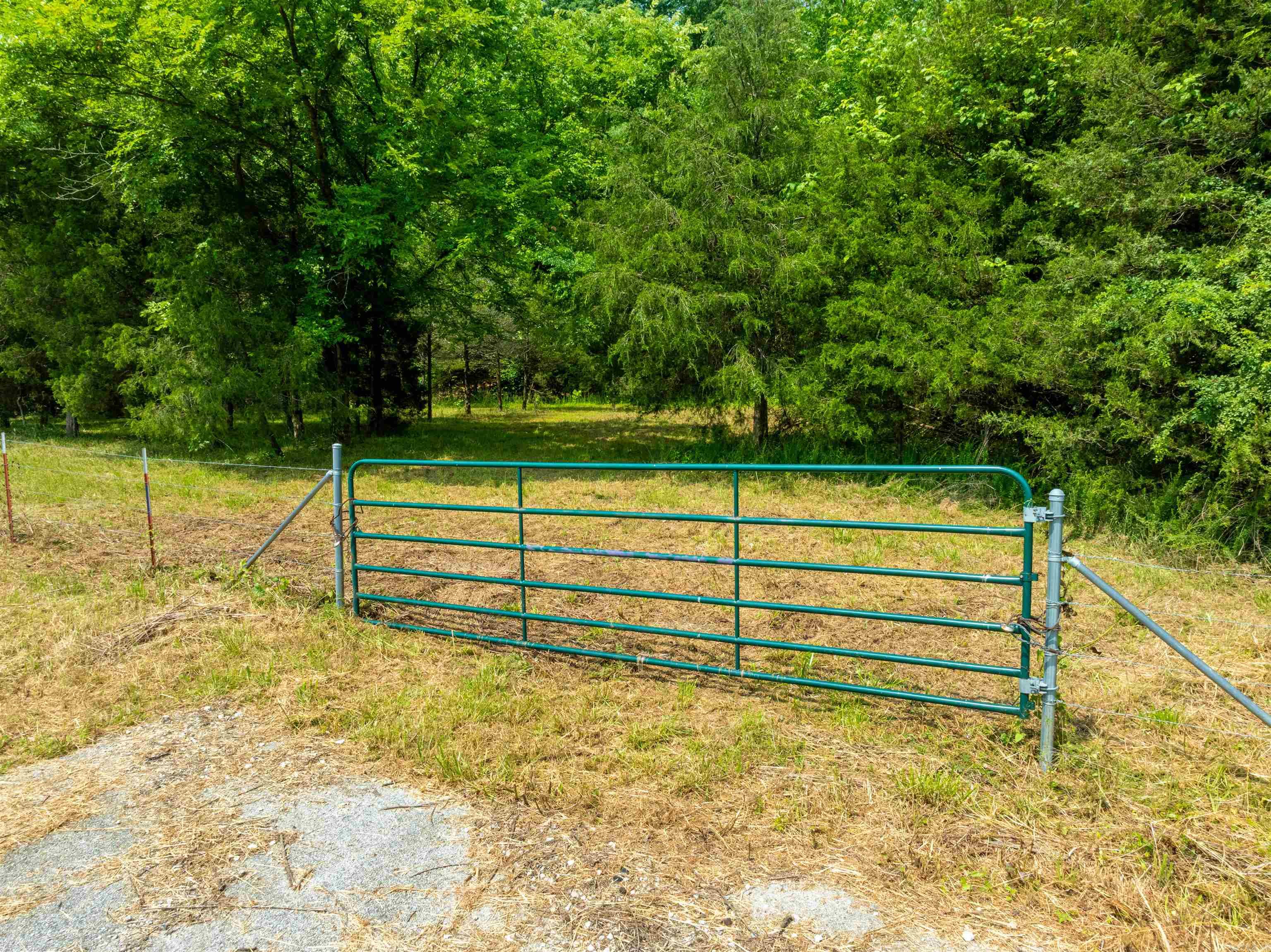 000 Sweet Gum Road Property Photo 13