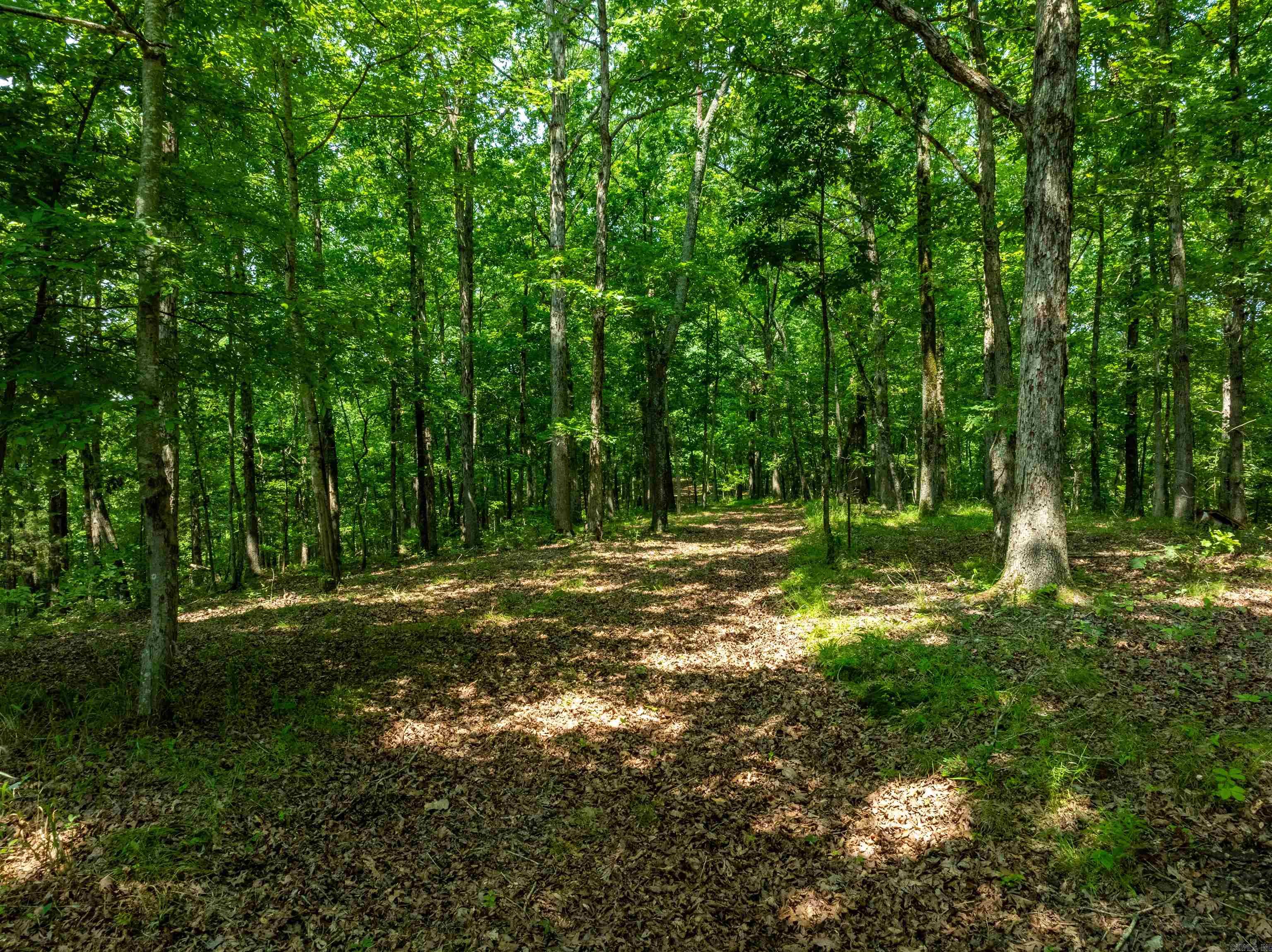 000 Sweet Gum Road Property Photo 14