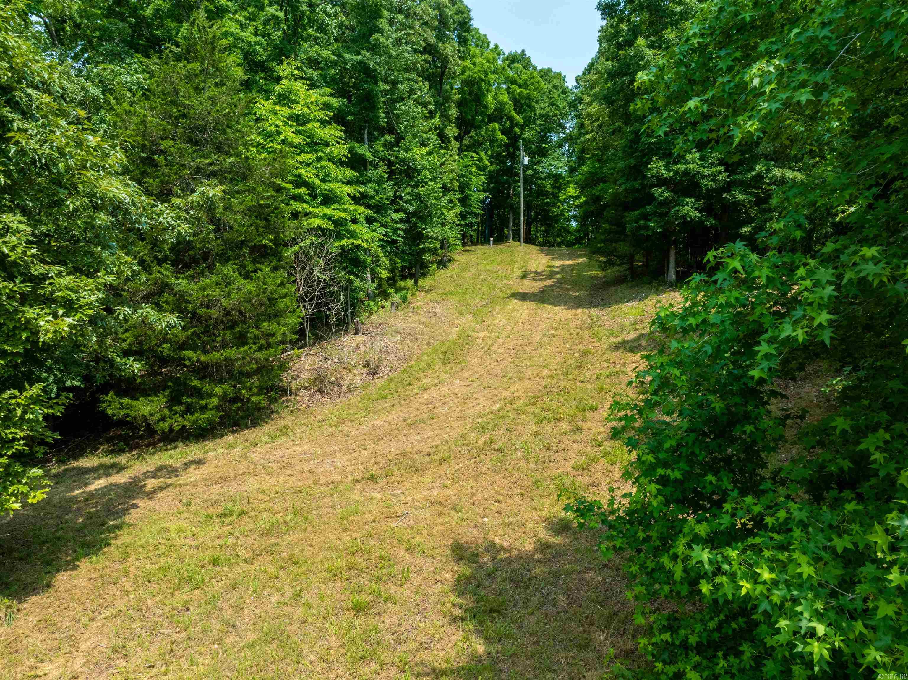 000 Sweet Gum Road Property Photo 17