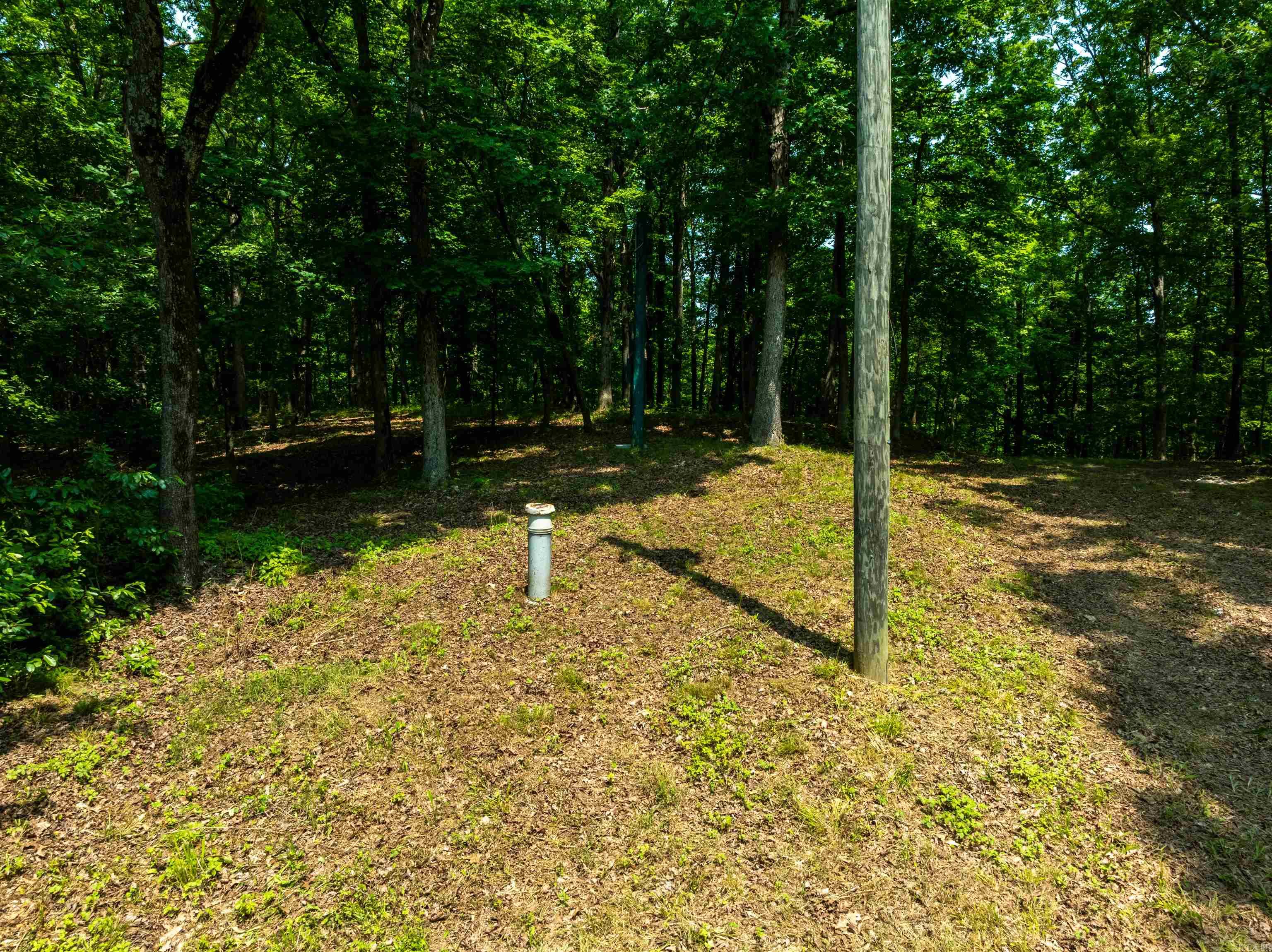 000 Sweet Gum Road Property Photo 21