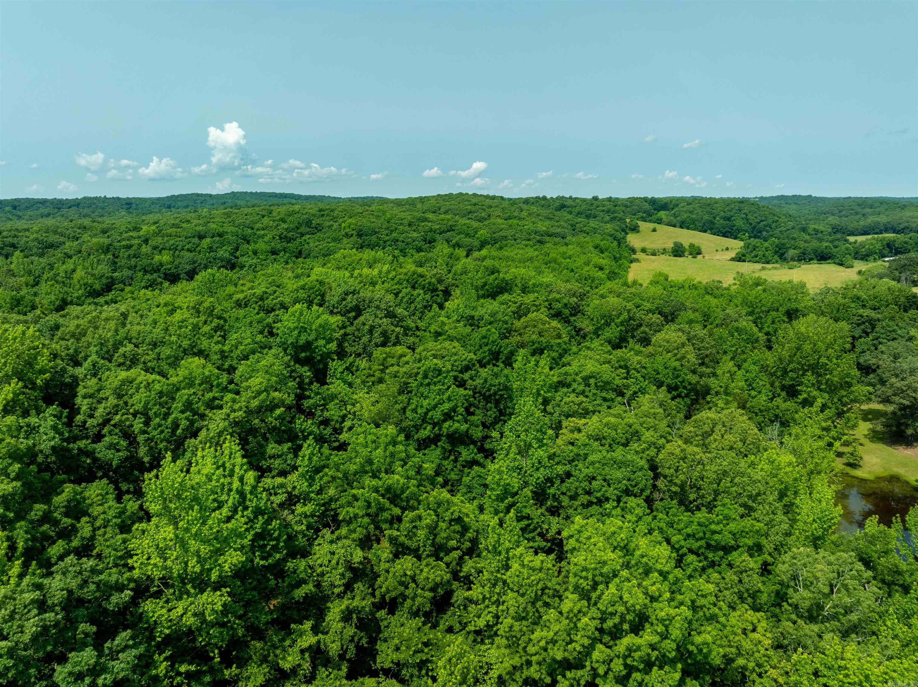 000 Sweet Gum Road Property Photo 25