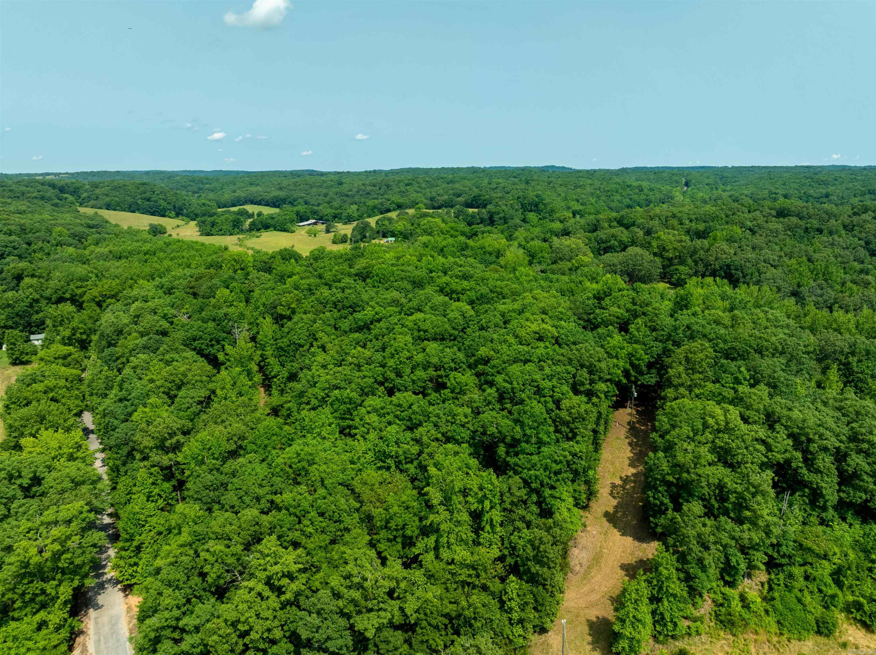 000 Sweet Gum Road Property Photo 26