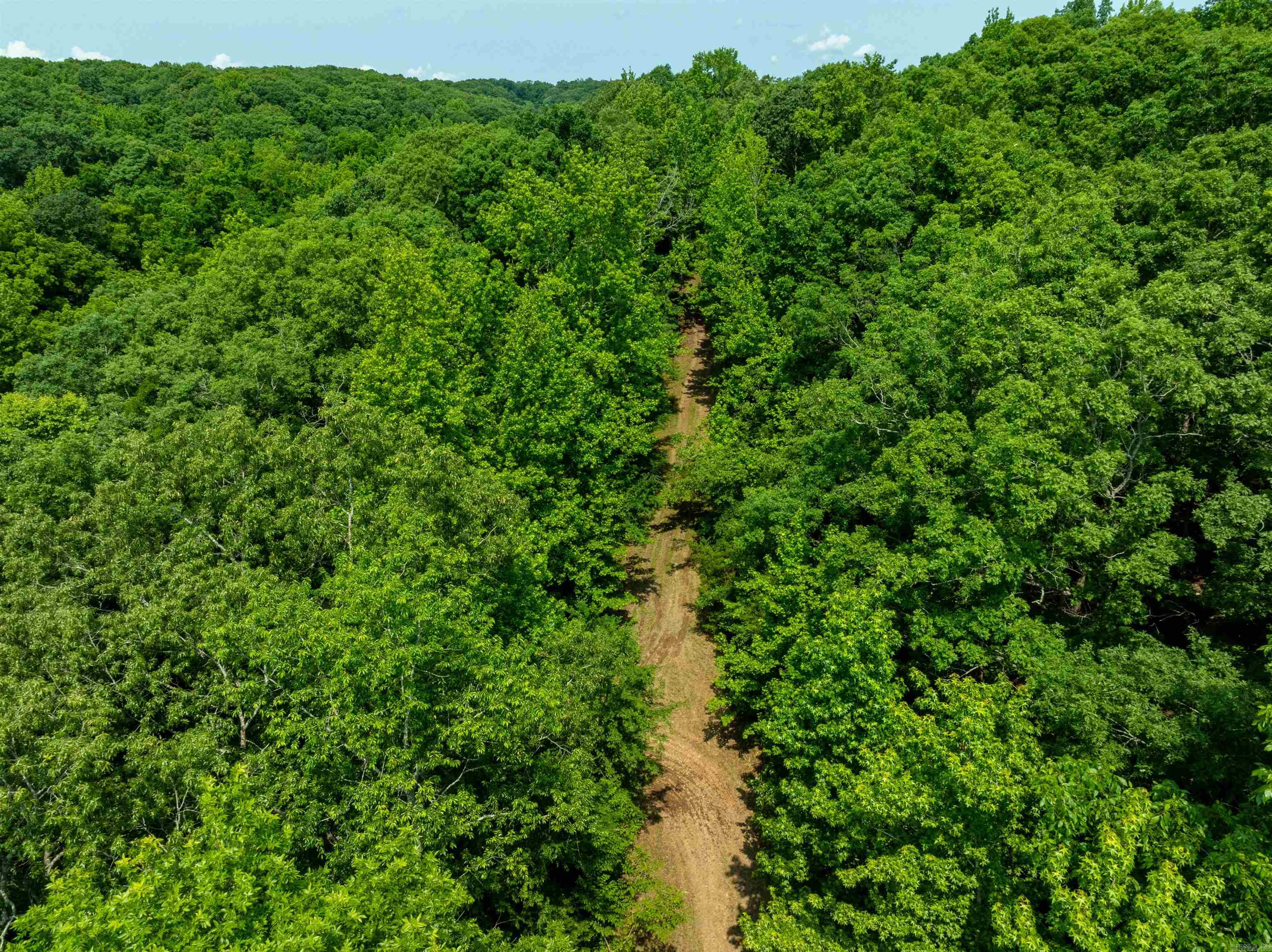 000 Sweet Gum Road Property Photo 32