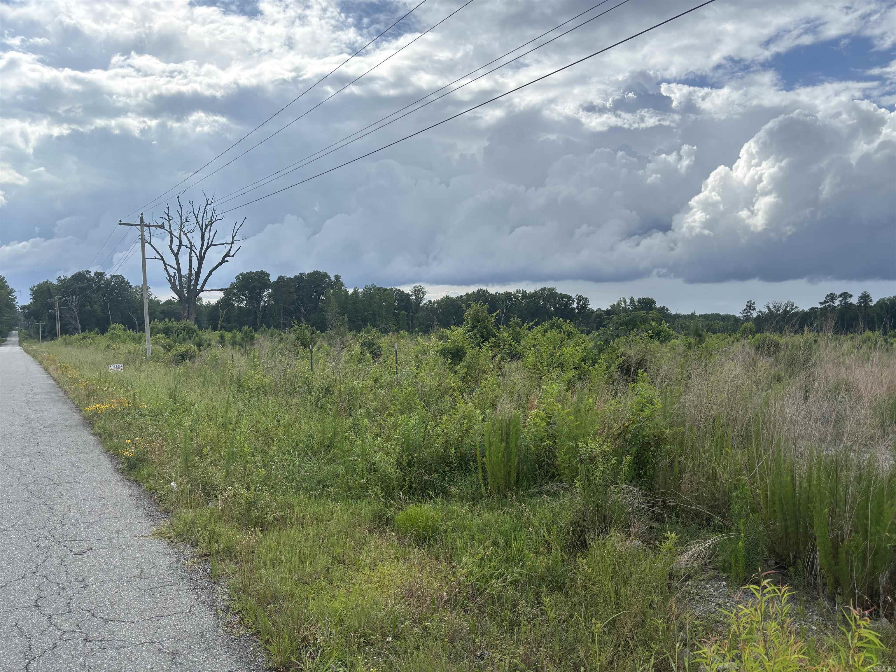 Rosswood Rd. Property Photo 1