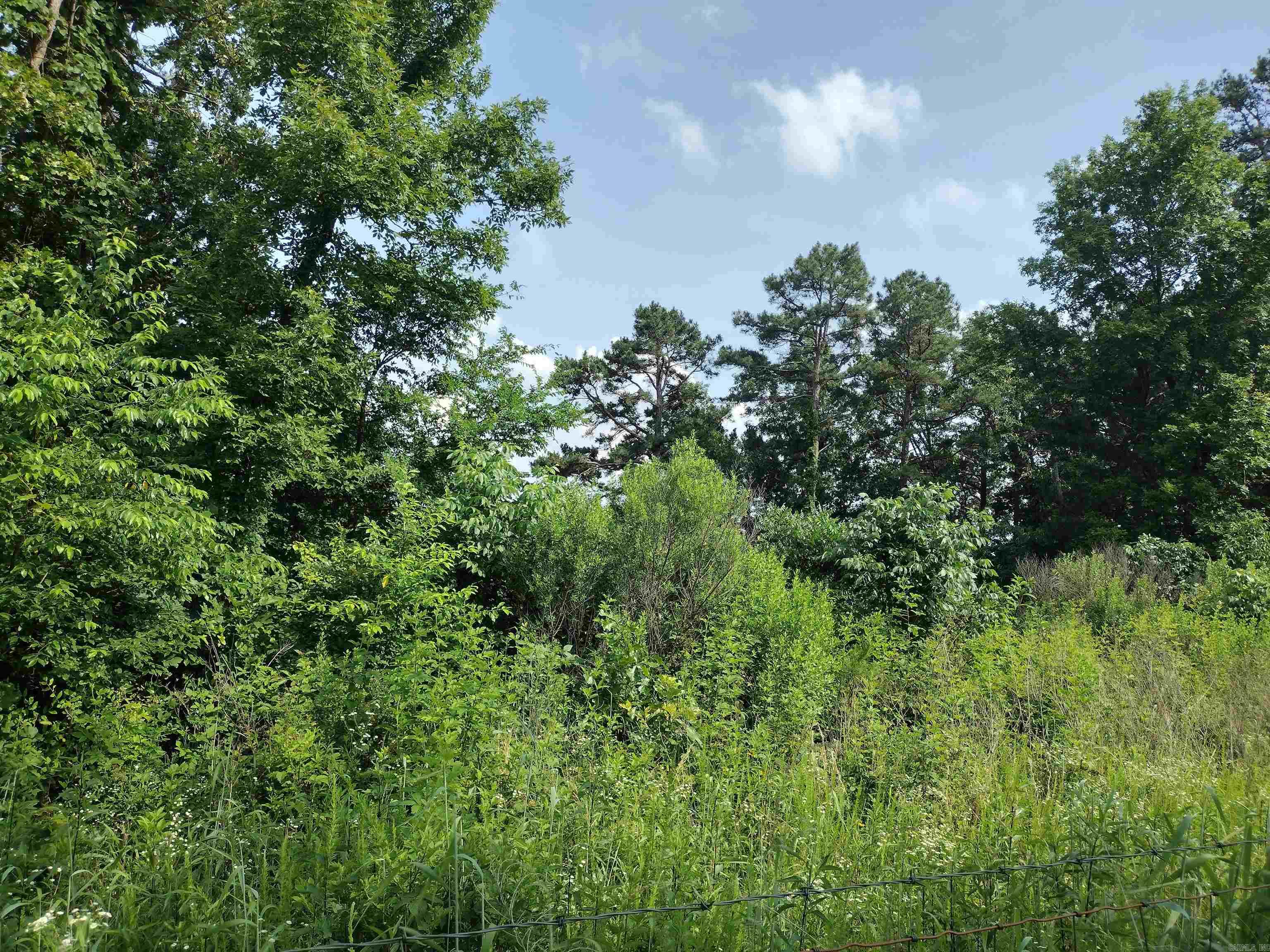 0 Greers Ferry Road Property Photo 2