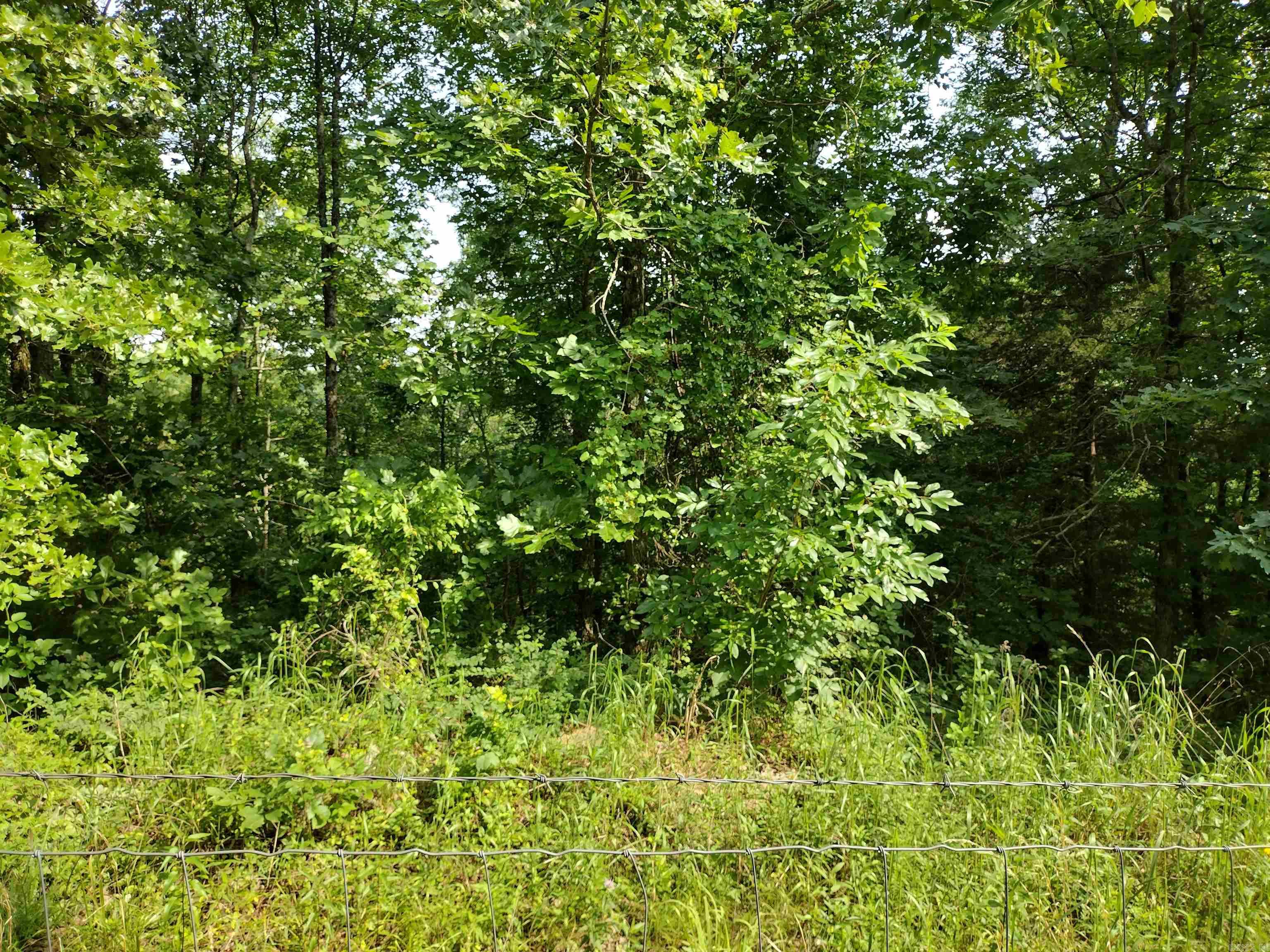 0 Greers Ferry Road Property Photo 4