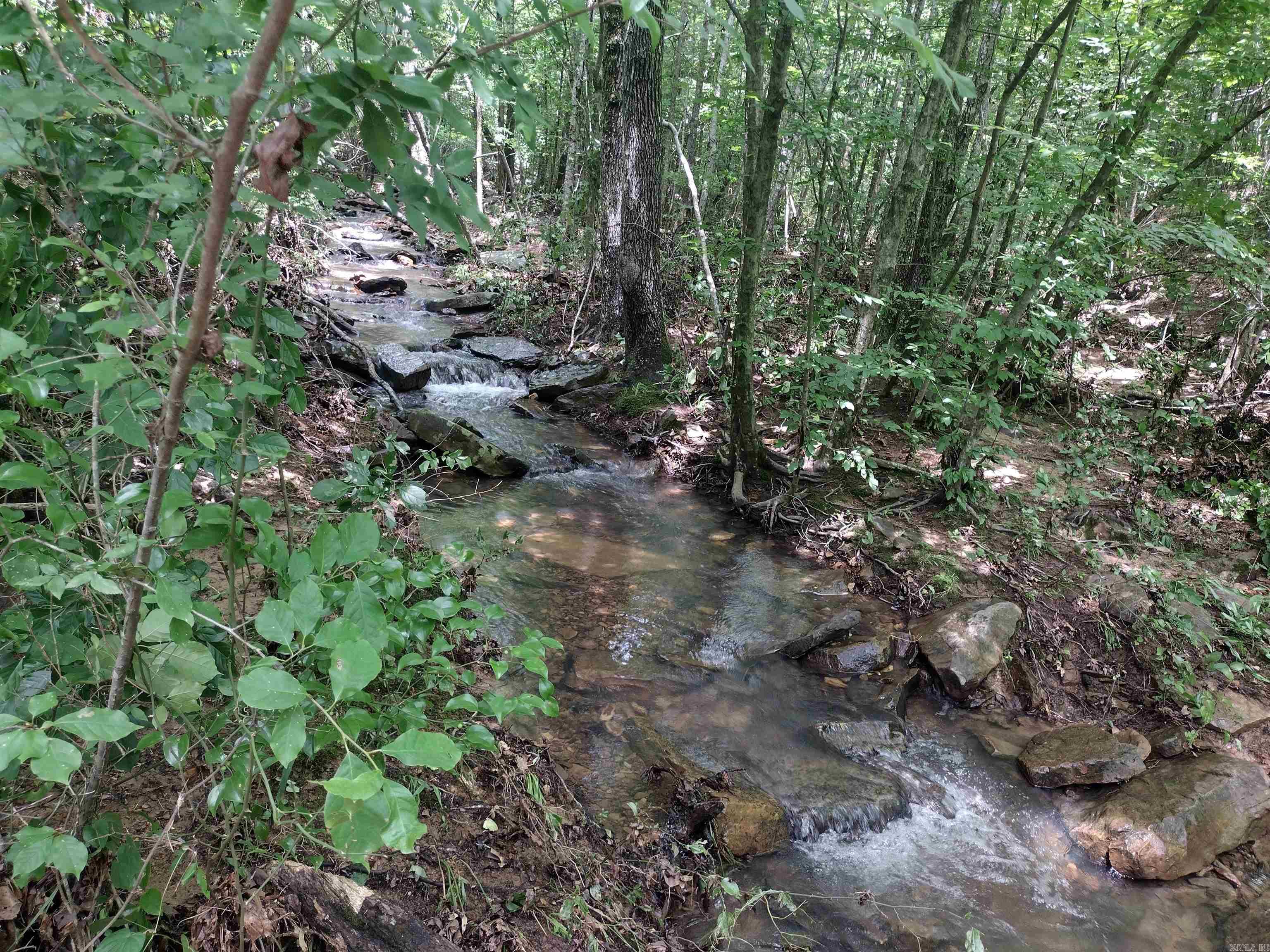 0 Greers Ferry Road Property Photo 5