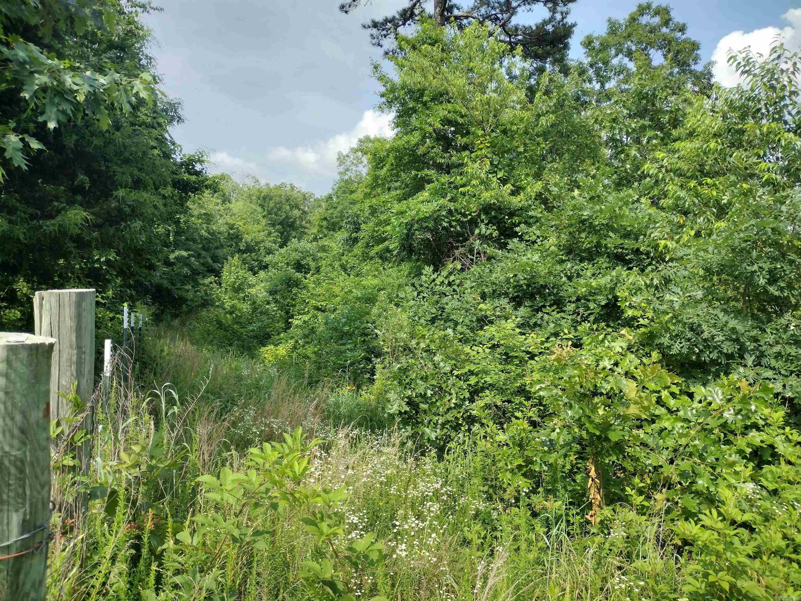 0 Greers Ferry Road Property Photo 6