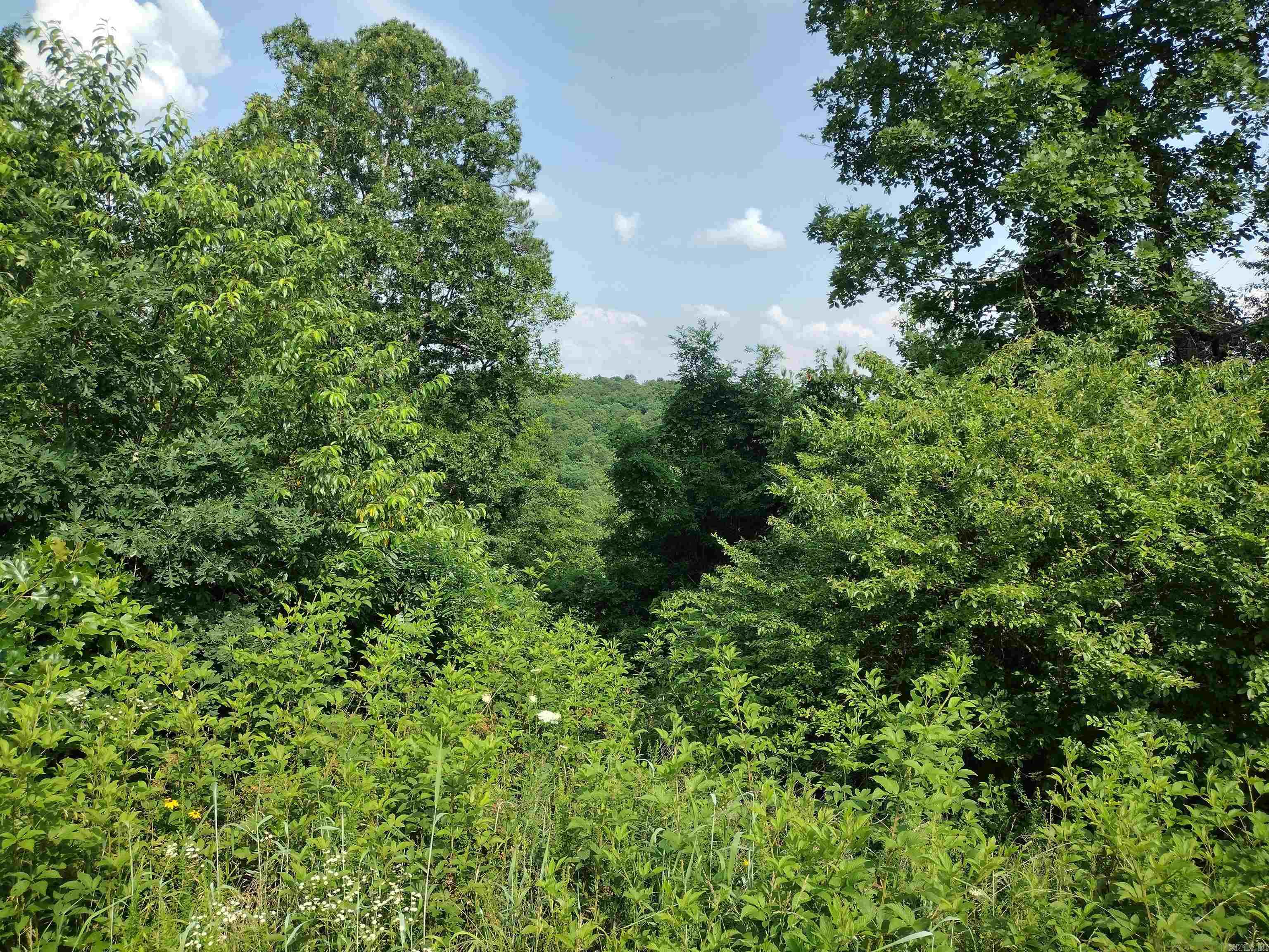 0 Greers Ferry Road Property Photo 7