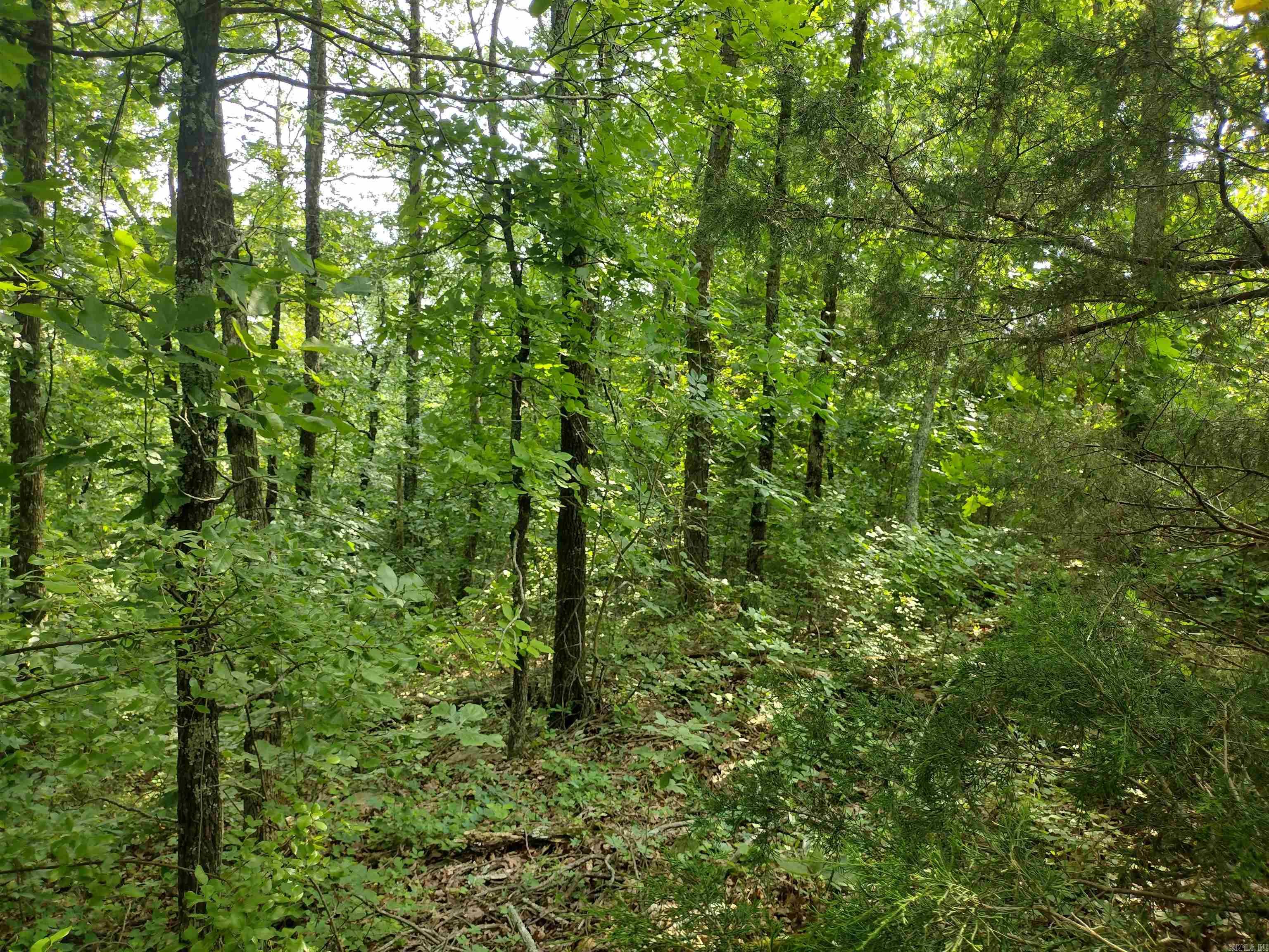 0 Greers Ferry Road Property Photo 8