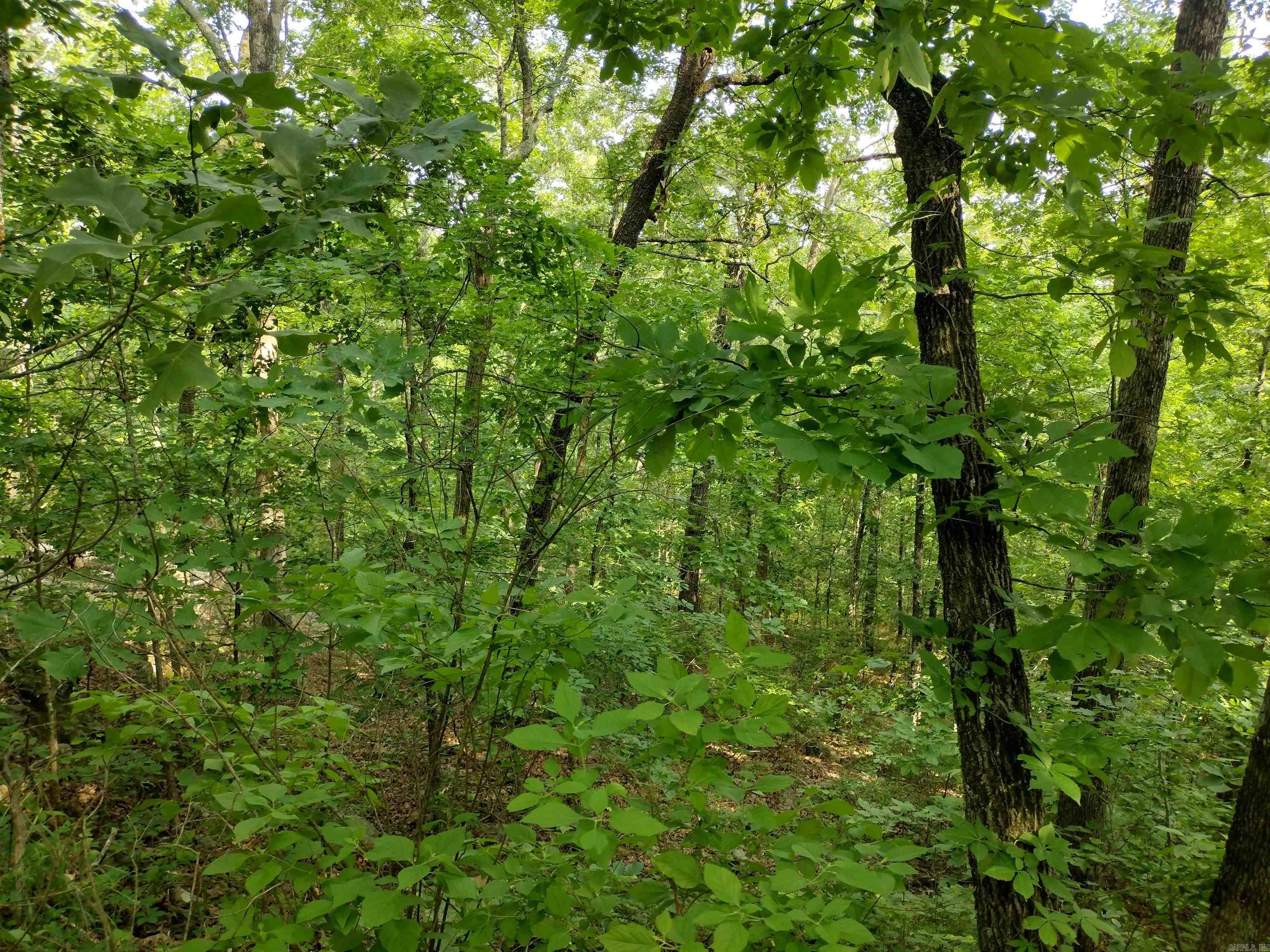 0 Greers Ferry Road Property Photo 10